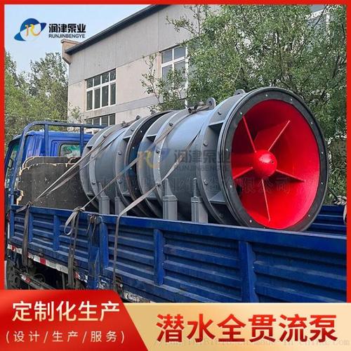 潜水全贯流泵水利模型 厂家直供，精准赋能水利工程